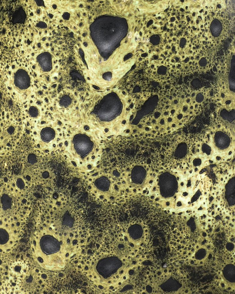 Bild 3 zu Objekt, Andr&eacute; Louis Freymond, 6 Ceramics, K-13 150