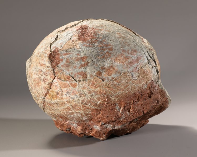 Bild 2 zu Objekt, Fossilized dinosaur egg, K-13 2