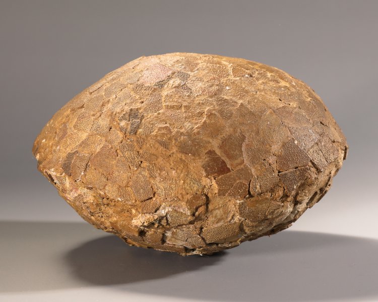 Bild 2 zu Objekt, Fossilized dinosaur egg attributed to Hypselosaurus Priscus, France, K-13 3