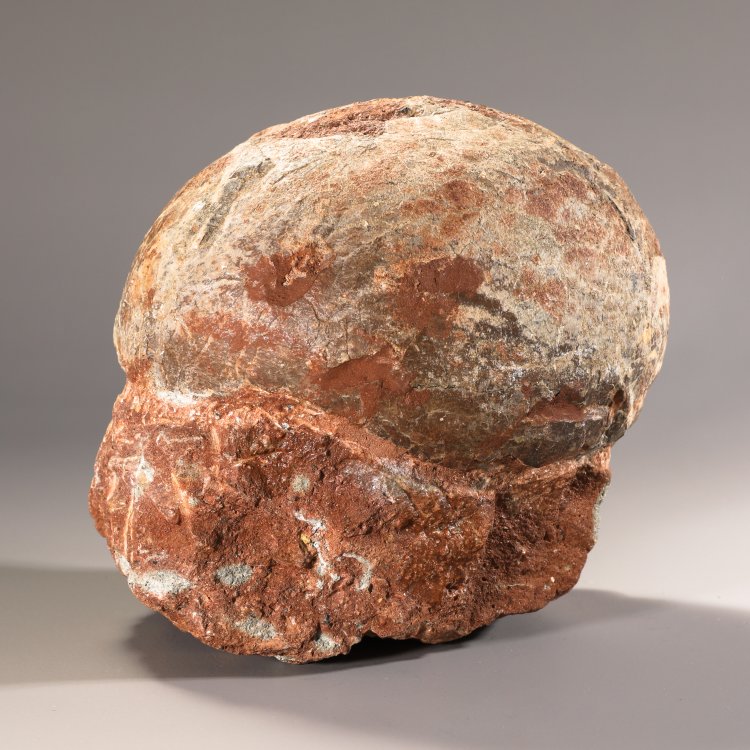 Bild 2 zu Objekt, Fossilized dinosaur egg, K-13 4