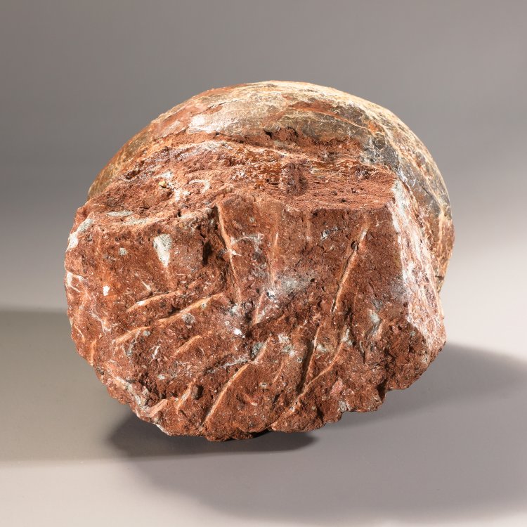 Bild 3 zu Objekt, Fossilized dinosaur egg, K-13 4