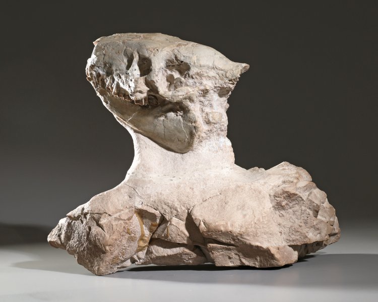 Bild 3 zu Objekt, Fossilized Leptauchenia nitida skeleton, K-13 5