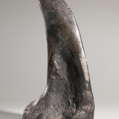 Dinosaur claw, fossilized