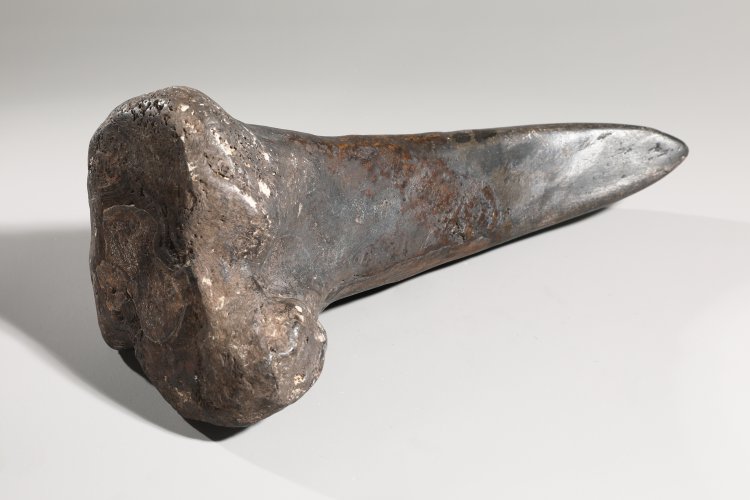 Bild 3 zu Objekt, Dinosaur claw, fossilized, K-13 7