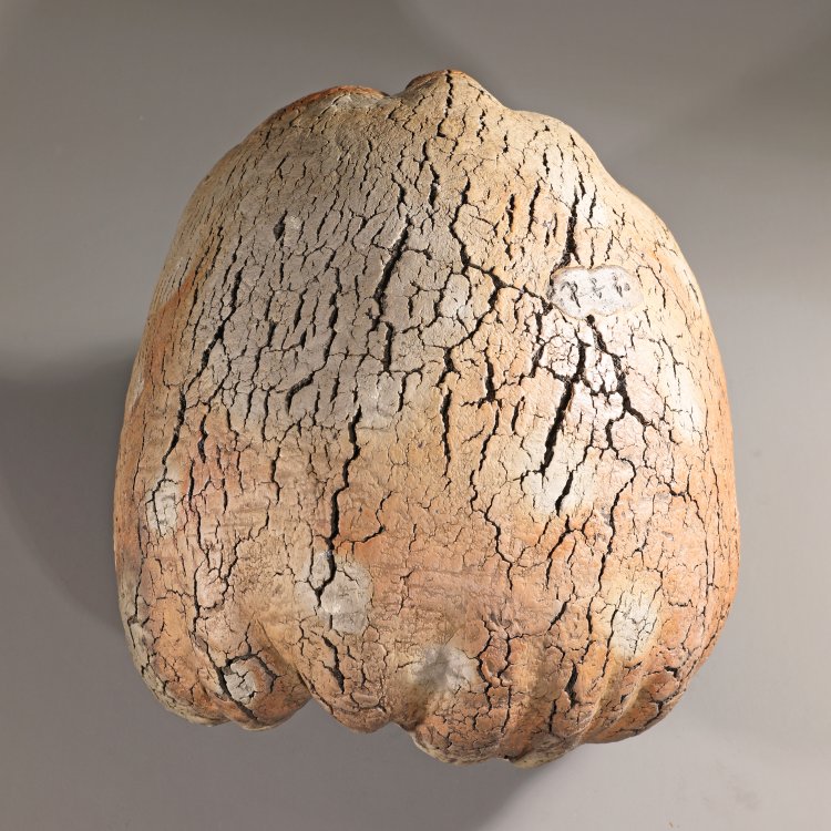 Bild 5 zu Objekt, Seung-Ho Yang, large Bowl, K-13 146