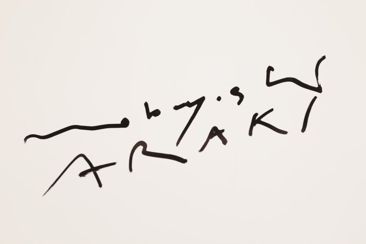 Bild 3 zu Objekt, Nobuyoshi Araki, Visions of Japan, Naked Angels. C-Print, K-13 223