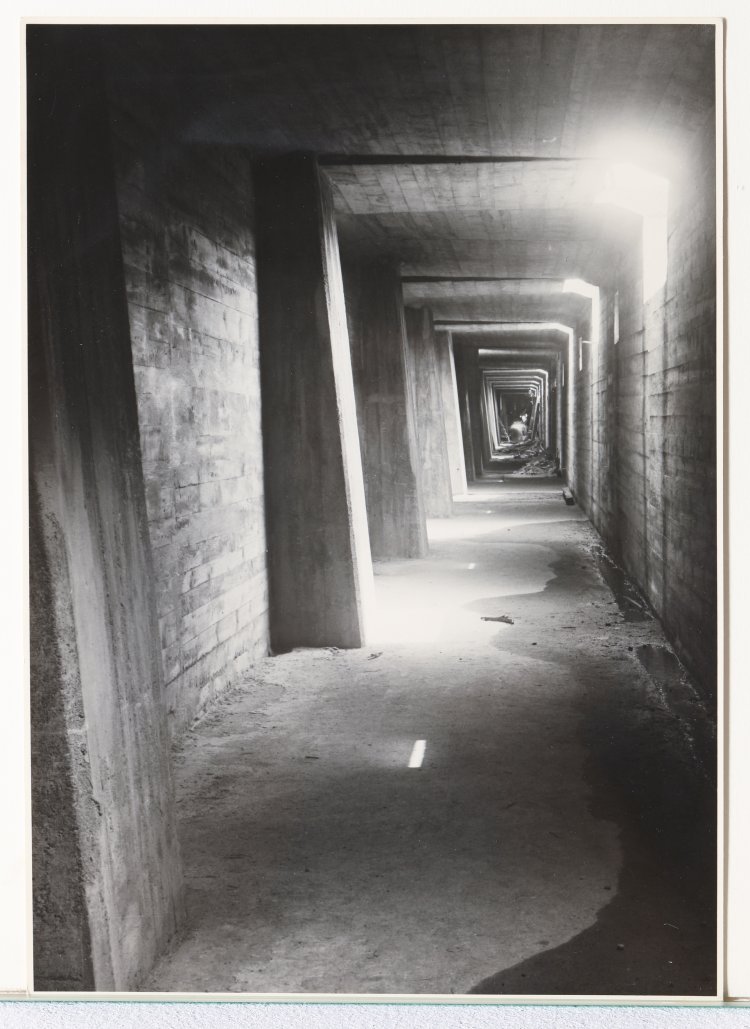 Bild 4 zu Objekt, Albert Renger-Patzsch*, 3 Photographs, K-13 217