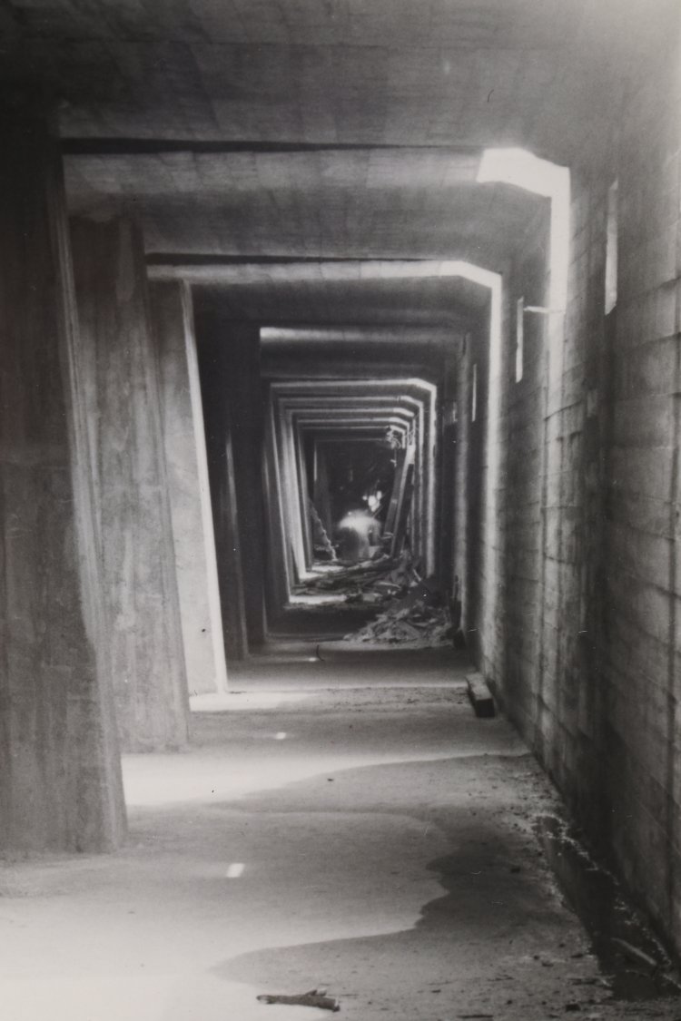 Bild 5 zu Objekt, Albert Renger-Patzsch*, 3 Photographs, K-13 217