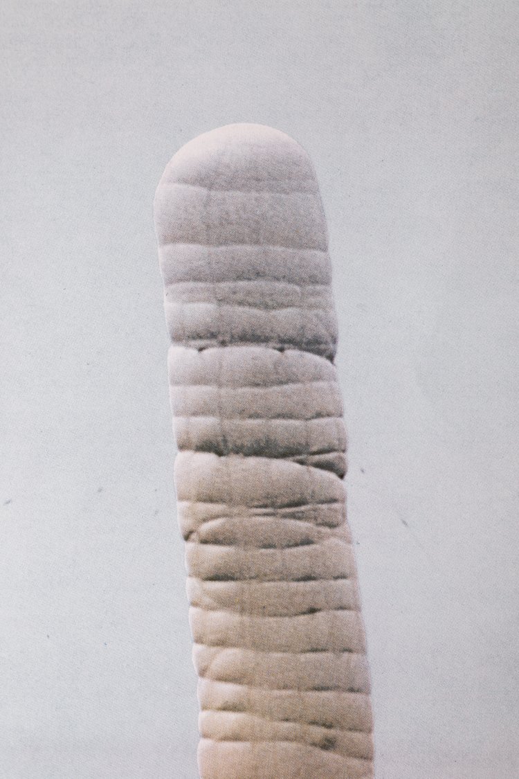 Bild 2 zu Objekt, Christo*, 5600 Cubic Meter Package. Kassel, K-13 322