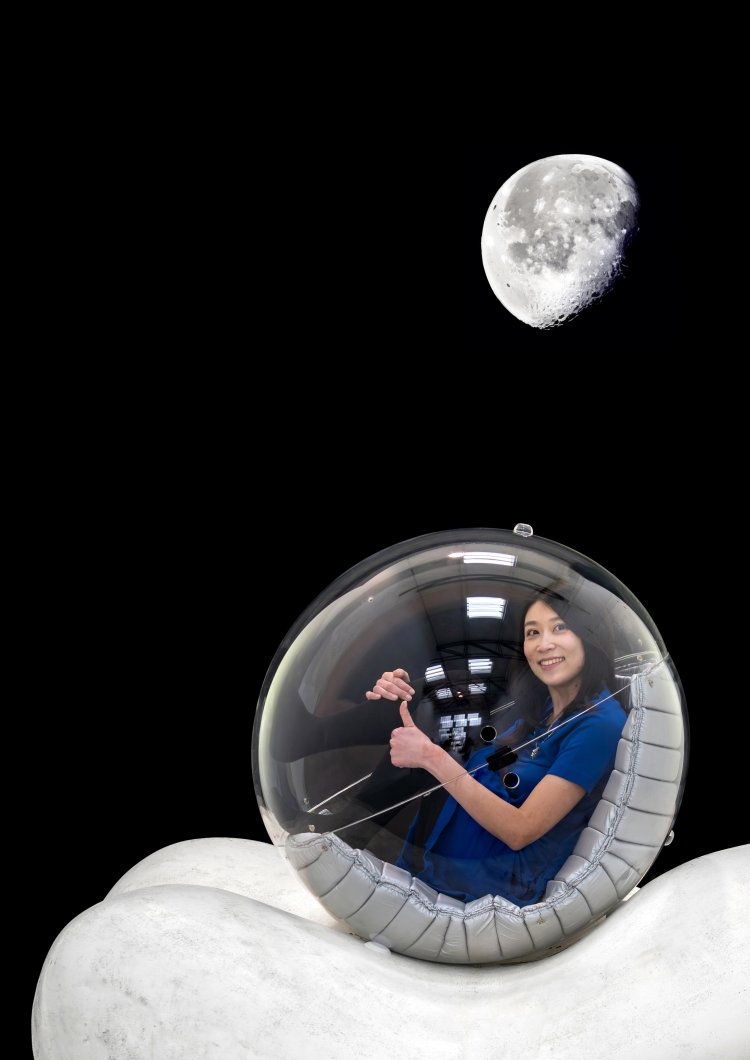 Bild 8 zu Objekt, Danilo Silvestrin, Gunther Lambert, Rare seating object for two people / acrylic ball chair, Gunther Lambert, K-13 460