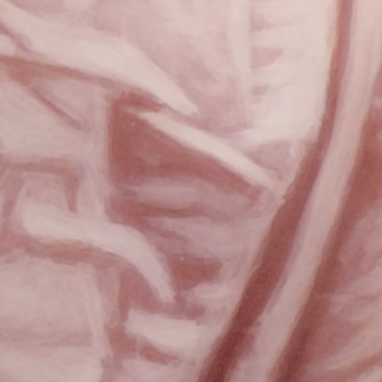 Bild 2 zu Objekt, Reclining in front of a dark cloth, 2010, Willi Kissmer*, K-14 339
