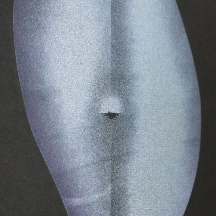 Bild 5 zu Objekt, Two Cut Outs, Ex. 69/90, Paul Wunderlich, K-14 356