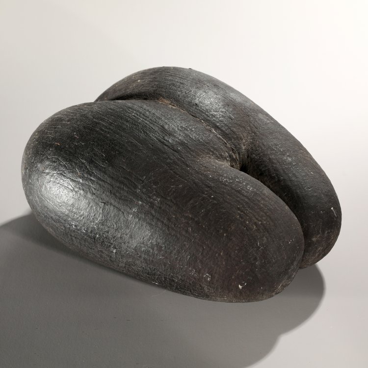 Bild 1 zu Objekt, Coco de Mer, Seychellen-Palme, K-14 14