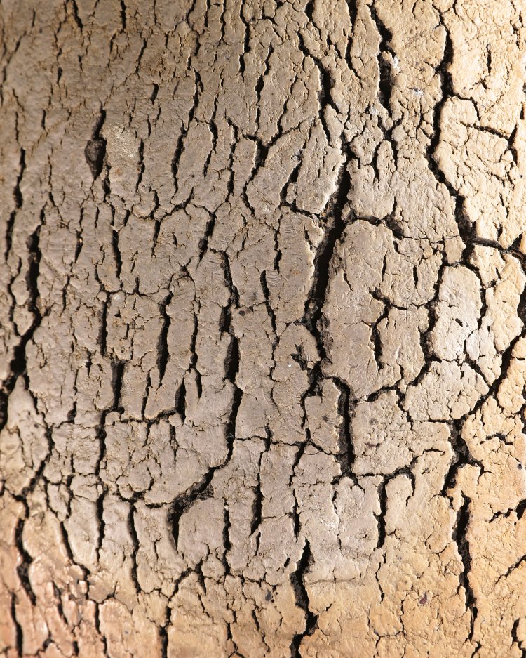 Bild 6 zu Objekt, large Bowl, Seung-Ho Yang, K-13O 143