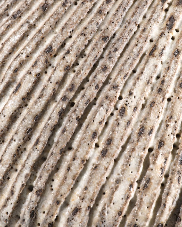 Bild 2 zu Objekt, Vase, 1980-1981, Lucie Rie, K-13O 11