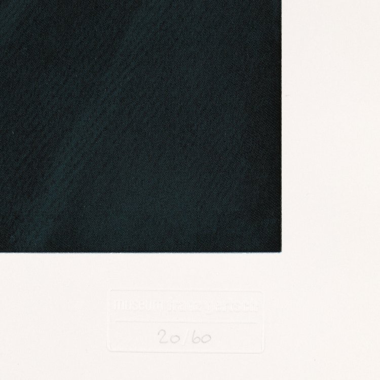 Bild 4 zu Objekt, Silvia III, 2005, Franz Gertsch, K-14 374