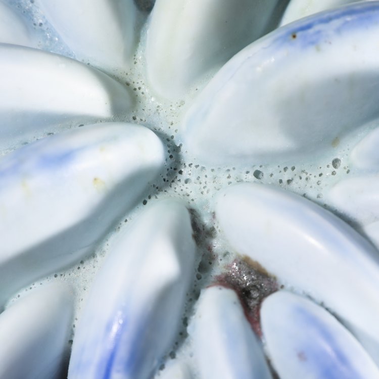 Bild 4 zu Objekt, Sculpture, Beate Kuhn, K-14 170