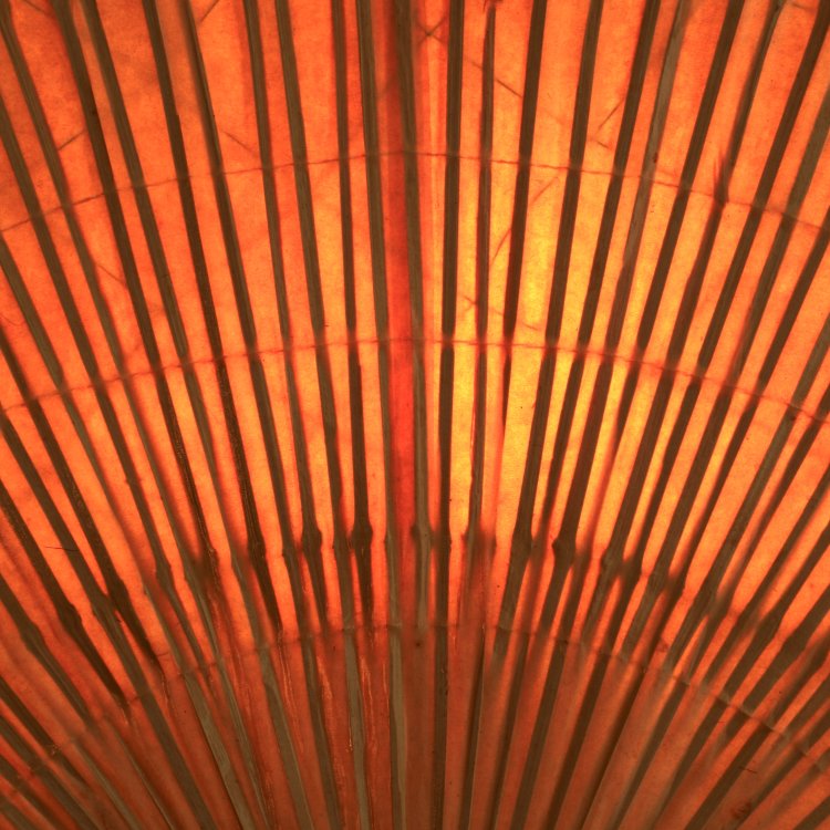 Bild 3 zu Objekt, Stehleuchte Modell Uchiwa I, Ingo Maurer, Design M, K-14 409