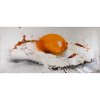 Untitled (Fried Egg), 1995