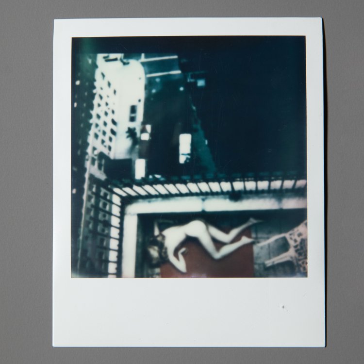 Bild 1 zu Objekt, Photograph and Polaroid, Andy Warhol, K-15 377