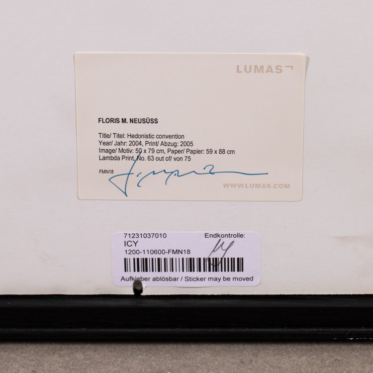 Bild 3 zu Objekt, 'Hedonistic convention', 2004 (printed 2005), Floris Michael Neus&uuml;ss, K-15 344
