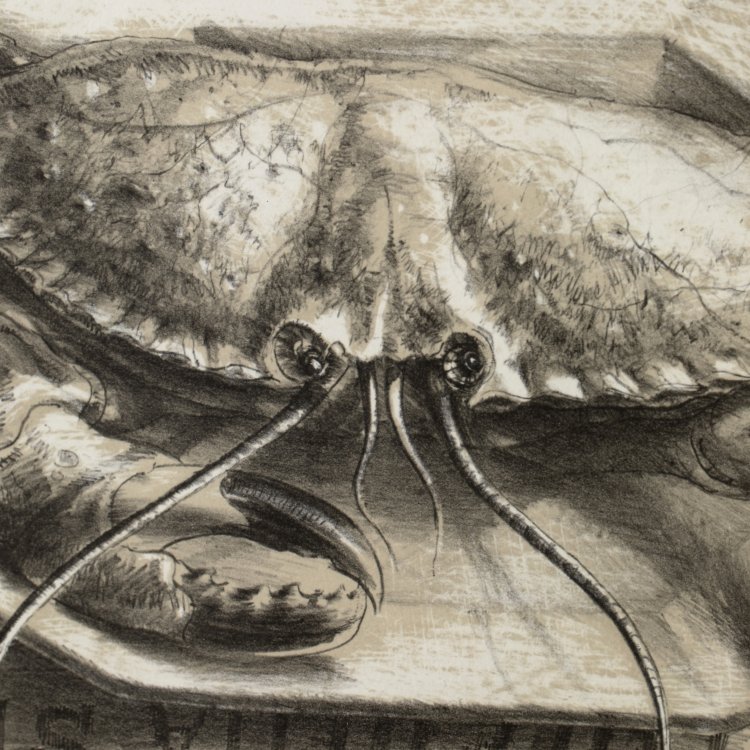 Bild 3 zu Objekt, Tisch mit Krabbe, 1988, K-15 364