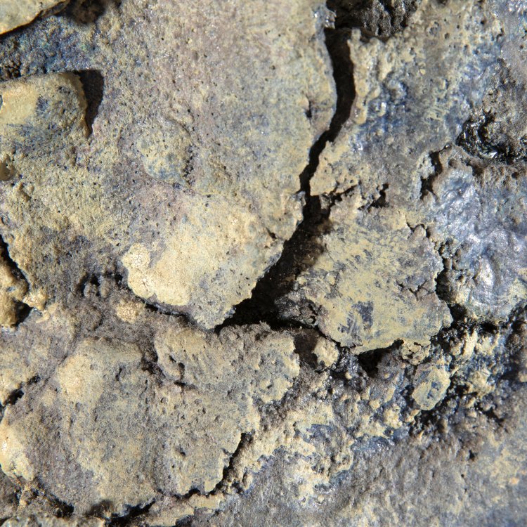 Bild 4 zu Objekt, Ceyx, Carmen Dionyse, K-15 178