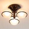 Ceiling light model 2042/3