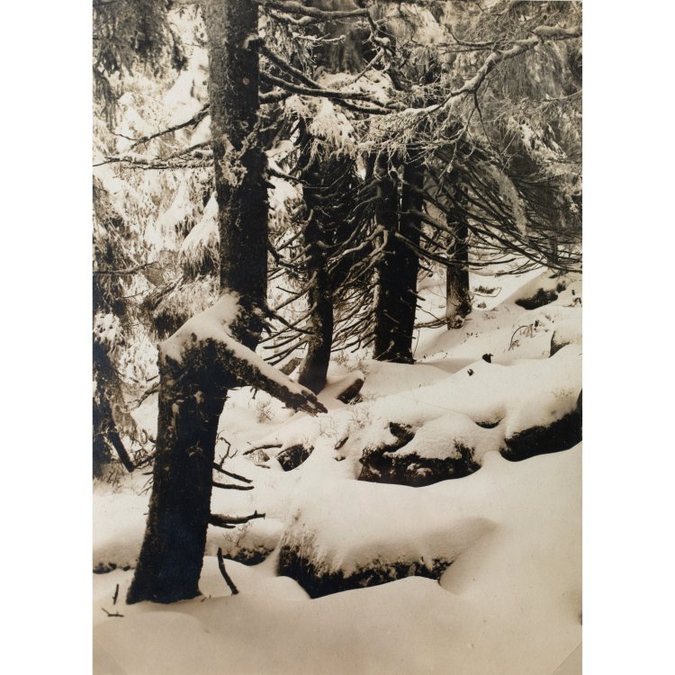 Hauptbild zu Objekt, 'Erster Schnee am Brockenhang', around 1925/26, Albert Renger-Patzsch, K-15 245
