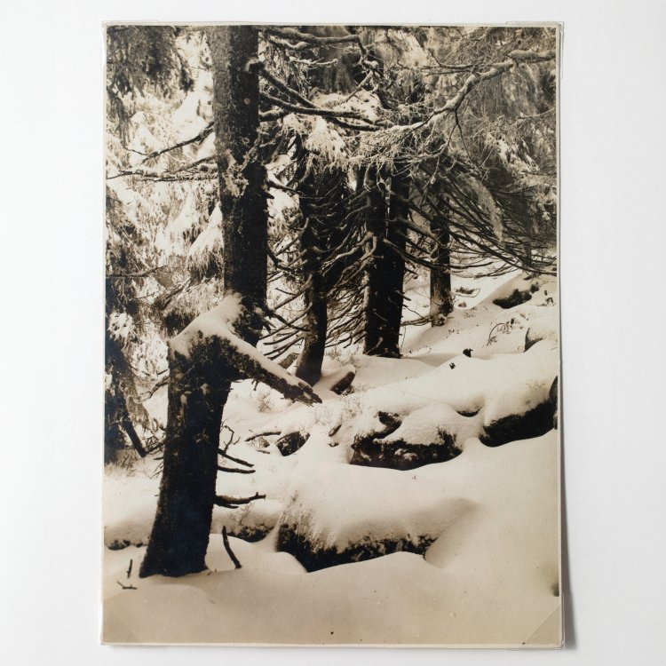 Bild 1 zu Objekt, 'Erster Schnee am Brockenhang', around 1925/26, Albert Renger-Patzsch, K-15 245
