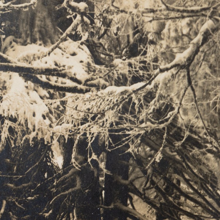 Bild 2 zu Objekt, 'Erster Schnee am Brockenhang', around 1925/26, Albert Renger-Patzsch, K-15 245