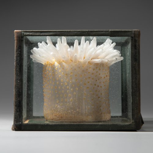 Glass model sea anemone, around 1870