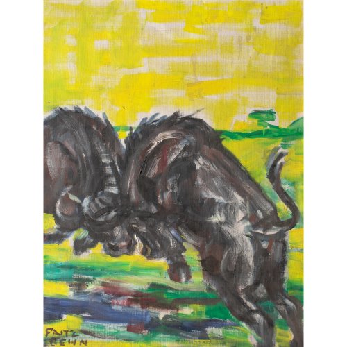 Fighting buffalo