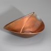 Leaf-shaped shell model TW 118