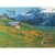 'Brienzer See', 1900
