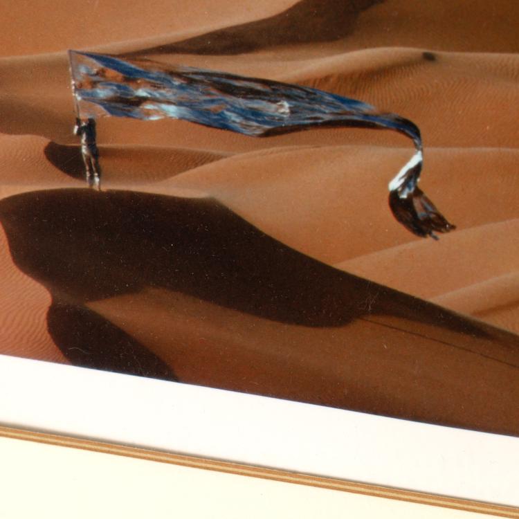 Bild 5 zu Objekt, Fotografie aus der Serie 'Expedition in k&uuml;nstliche G&auml;rten', 1976, Heinz Mack, K-16B 532