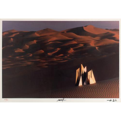 Fotografie aus der Serie 'Expedition in künstliche Gärten', 1976