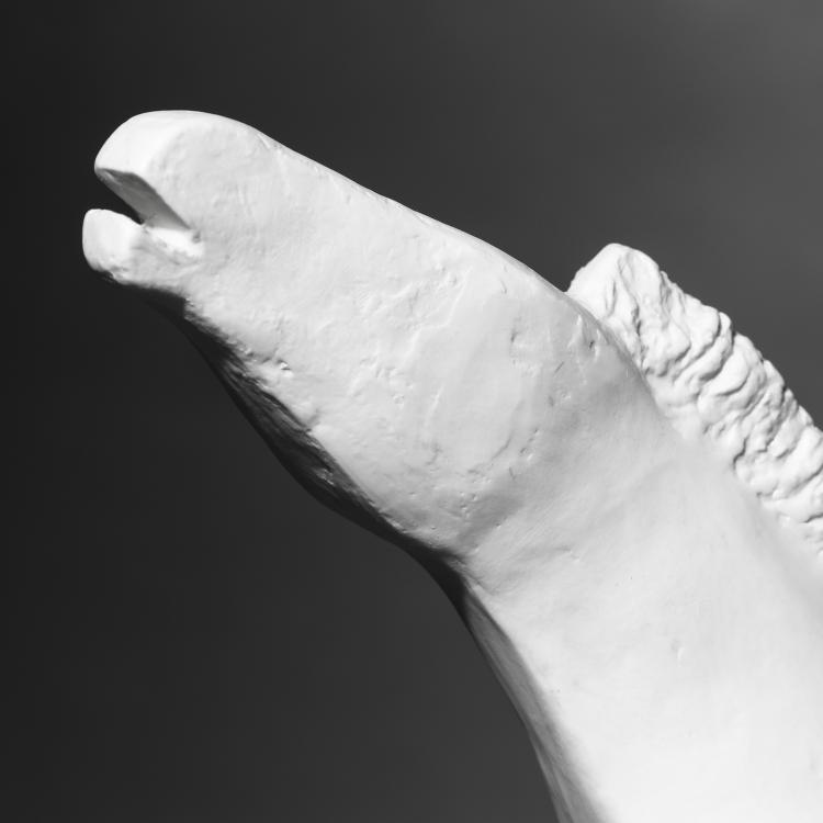 Bild 2 zu Objekt, Rosenthal, Sculpture Horse, Hans Stangl, Rosenthal, K-16O 158