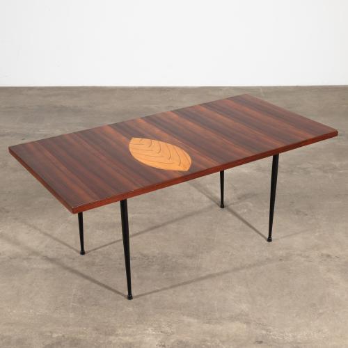 Coffee Table / Blatttisch
