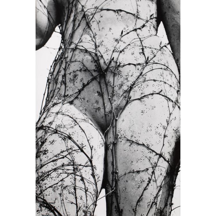 Hauptbild zu Objekt, 'Osidla' (aus dem Zyklus opu&scaron;těn&aacute;), 1941 (Abzug von 1991), K-16B 351