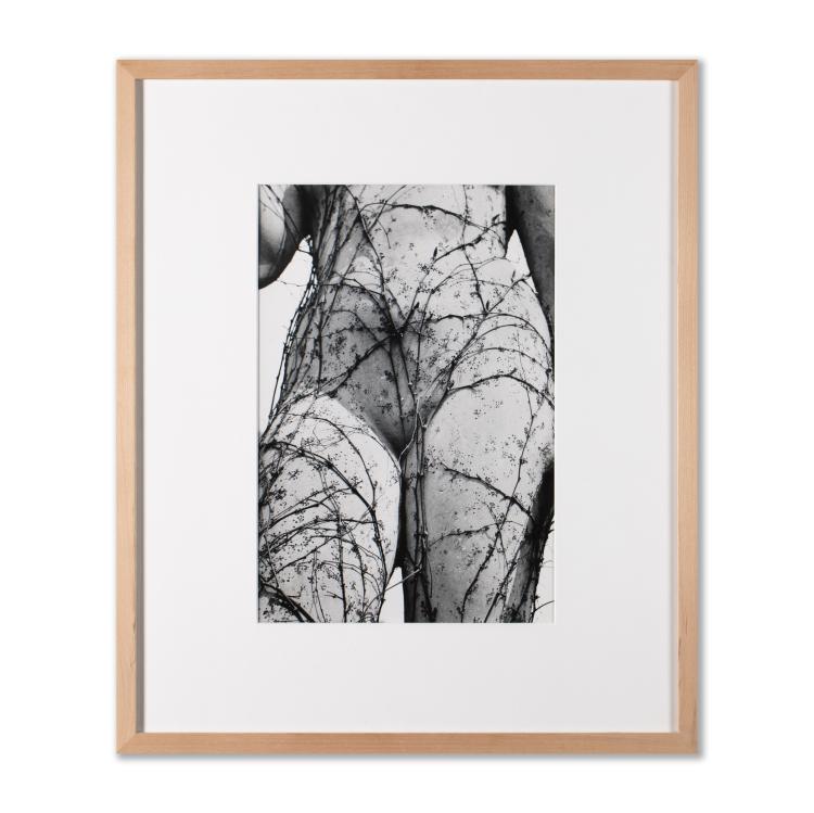 Bild 1 zu Objekt, 'Osidla' (aus dem Zyklus opu&scaron;těn&aacute;), 1941 (Abzug von 1991), K-16B 351