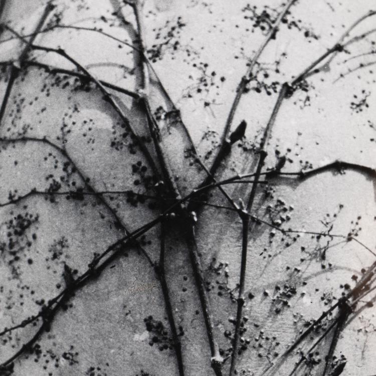 Bild 2 zu Objekt, 'Osidla' (aus dem Zyklus opu&scaron;těn&aacute;), 1941 (Abzug von 1991), K-16B 351