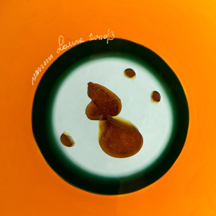 Bild 5 zu Objekt, Teller 'Terra', Laura Diaz de Santillana, Venini, Murano, K-16A 174