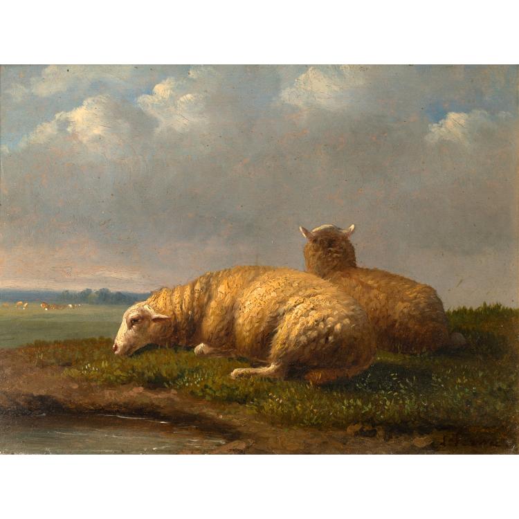 Hauptbild zu Objekt, 'Schafe', K-16B 307