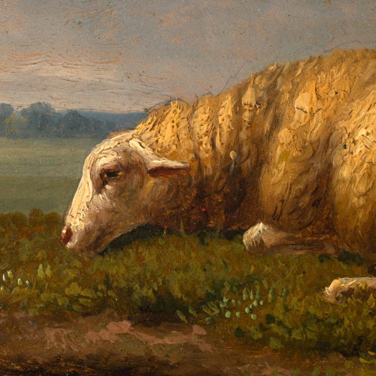 Bild 2 zu Objekt, 'Schafe', K-16B 307