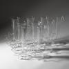 9 champagne glasses from the Cherry Netherlands series