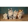 Vier junge Katzen, ca. 1900