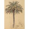 Studie einer Palme, 1870