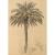 Studie einer Palme, 1870