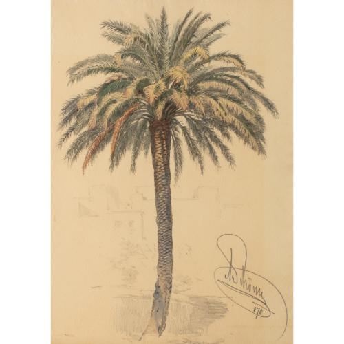 Studie einer Palme, 1870